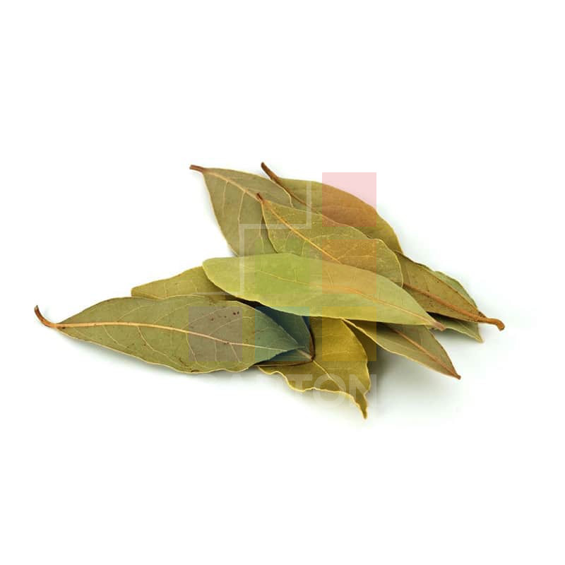 Bay Leaf
